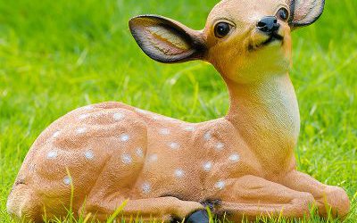 草坪上一只臥著的玻璃鋼仿真動(dòng)物梅花鹿雕塑