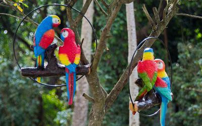 動物園樹上休息的玻璃鋼彩繪仿真動物鸚鵡雕塑