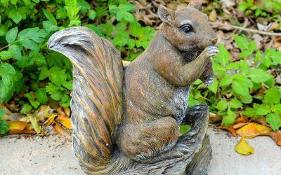 景區動物園一只吃東西玻璃鋼松鼠雕塑