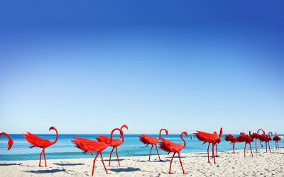 海邊玻璃鋼創(chuàng)意火烈鳥雕塑