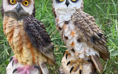 草坪兩只玻璃鋼彩繪仿真貓頭鷹雕塑