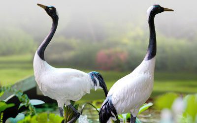 池塘中玻璃鋼仿真動物仙鶴雕塑