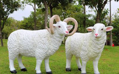 草地上一對玻璃鋼仿真綿羊雕塑