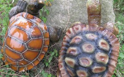 公園草坪玻璃鋼彩繪仿真動物烏龜雕塑