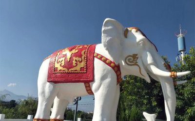 戶外大象仿真動(dòng)物玻璃鋼彩繪大象雕塑