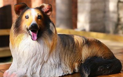 室內創意玻璃鋼仿真動物景觀狗雕塑