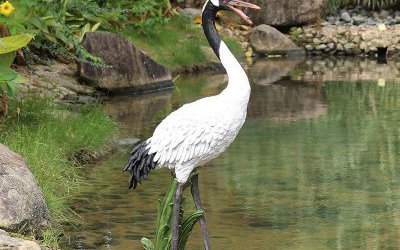 景區(qū)池塘邊上的一只玻璃鋼仿真仙鶴雕塑